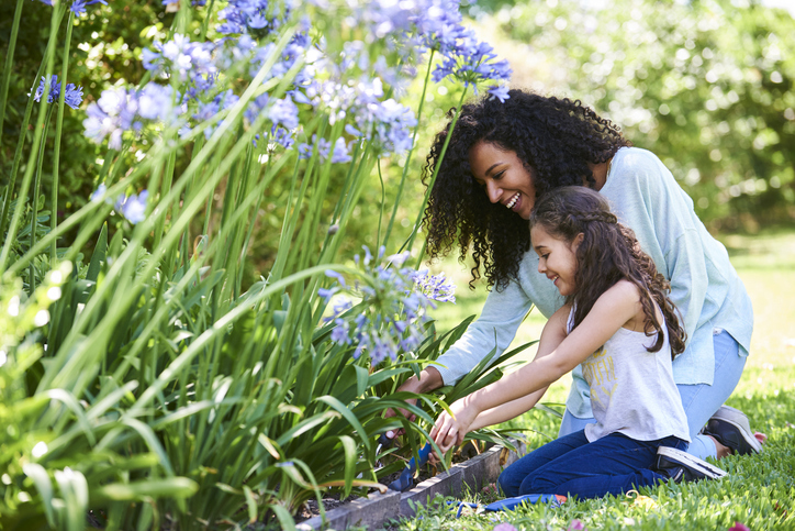 Pour un jardin fleuri cet été.